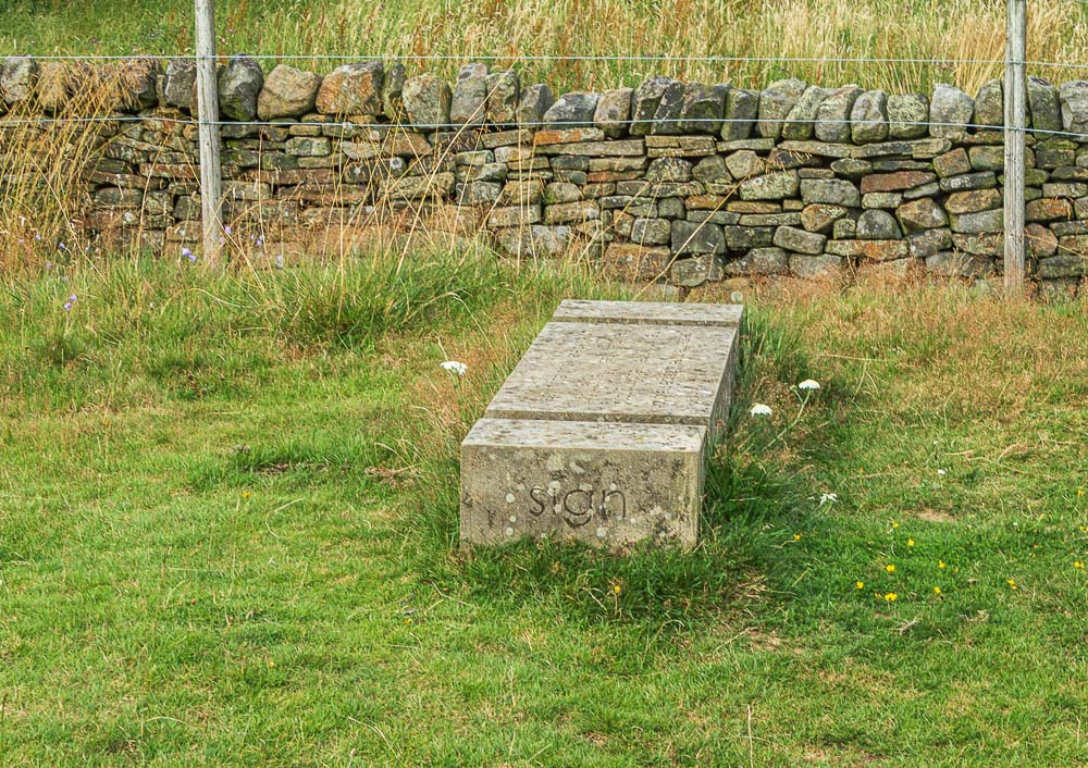 Companion Stone Companion Stone